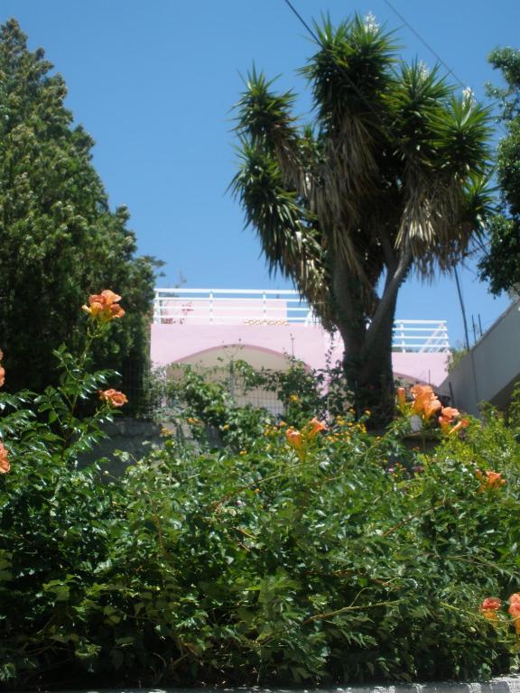 Camelia Plakiás Exterior foto